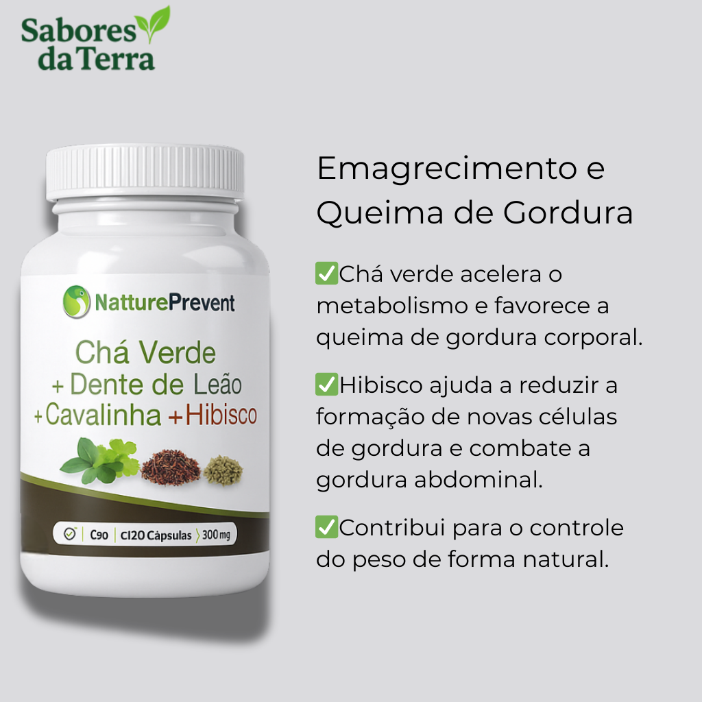 Chá Verde + Dente de Leão + Cavalinha + Hibisco 500mg - Suplemento Alimentar Natural