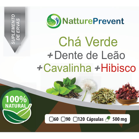 Chá Verde + Dente de Leão + Cavalinha + Hibisco 500mg - Suplemento Alimentar Natural