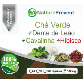 Chá Verde + Dente de Leão + Cavalinha + Hibisco 500mg - Suplemento Alimentar Natural
